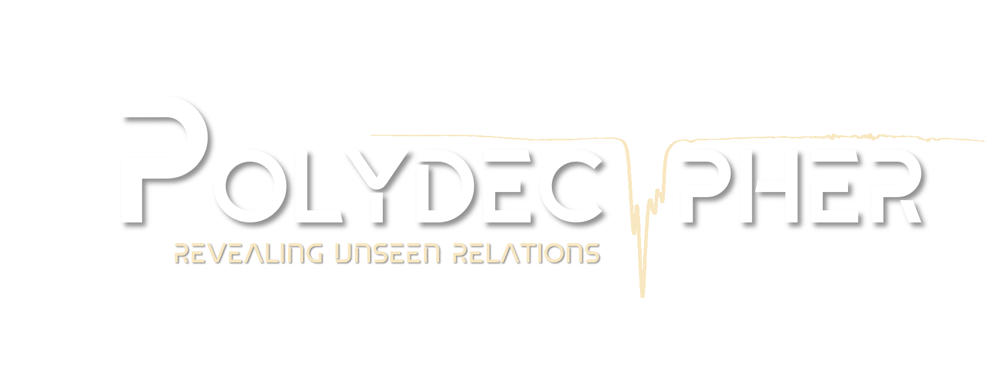 Polydecipher - Revealing Unseen Relations